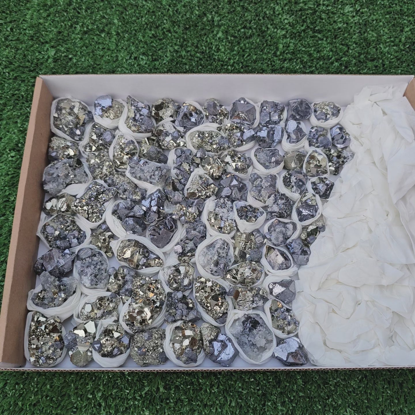 Load video: 81 pc Galena crystals on octahedral pyrite