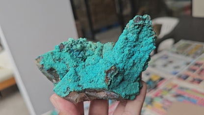 Chrysocolla on Quartz