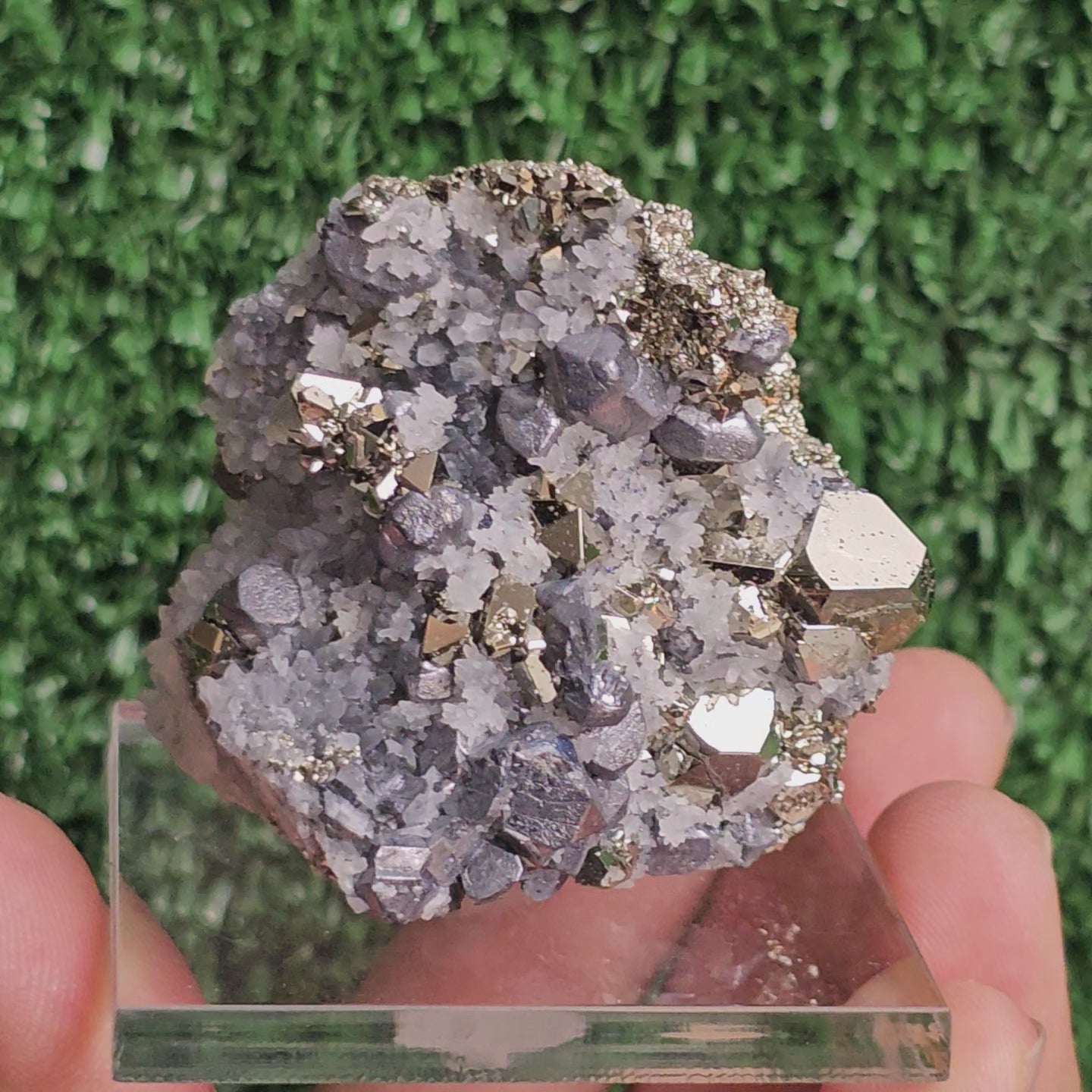 Load video: Galena with Pyrite octahedral