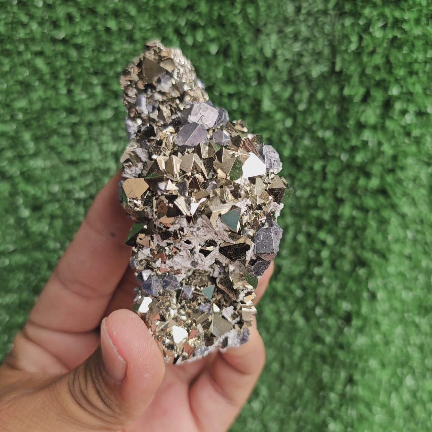 Load video: crystallized galena with Pyrite octahedral