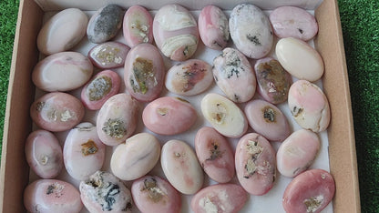 33 pc pink opal palms