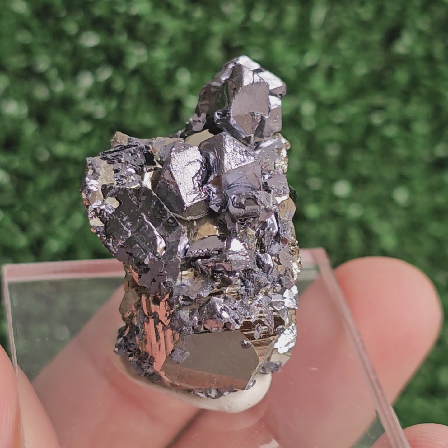 Load video: Galena with Pyrite octahedral
