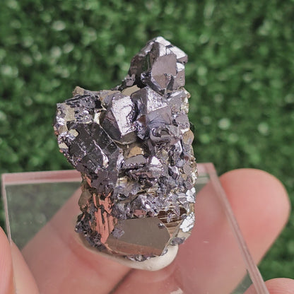 Galena with Pyrite octahedral