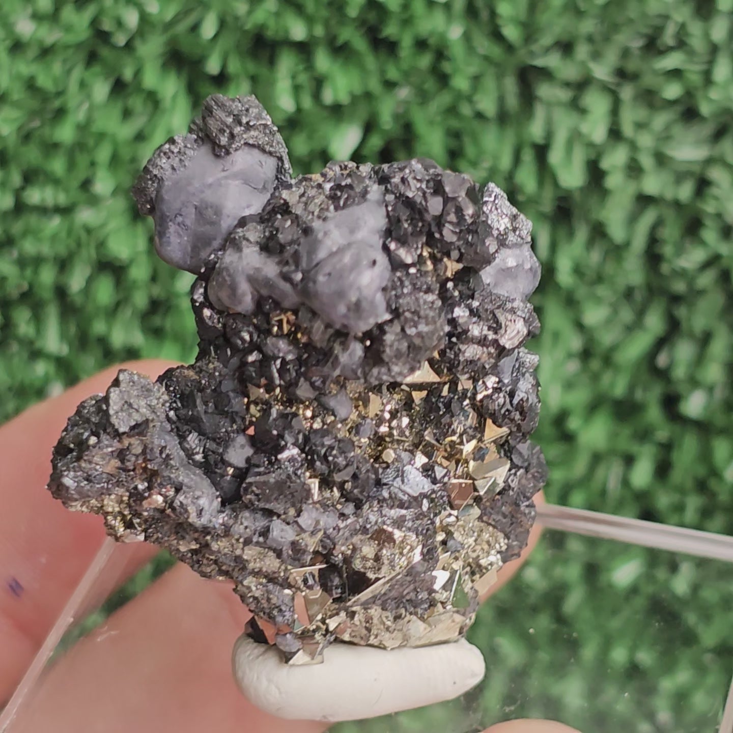 Load video: crystallized galena with Pyrite octahedral