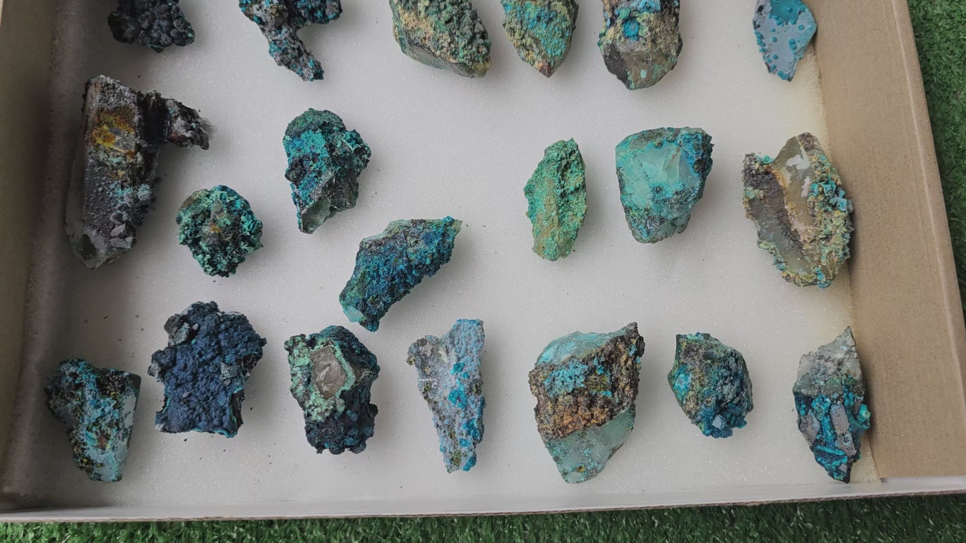 Load video: Lot 20 Chrysocolla on Quartz