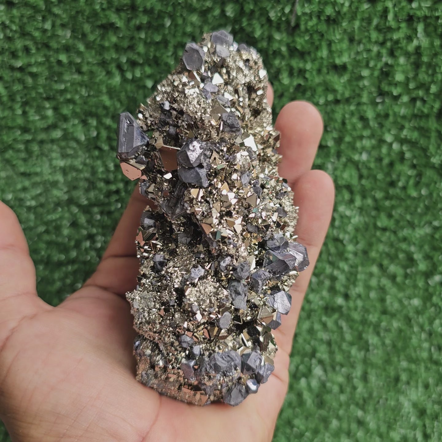 Load video: Galena Crystals on Octahedral Pyrite