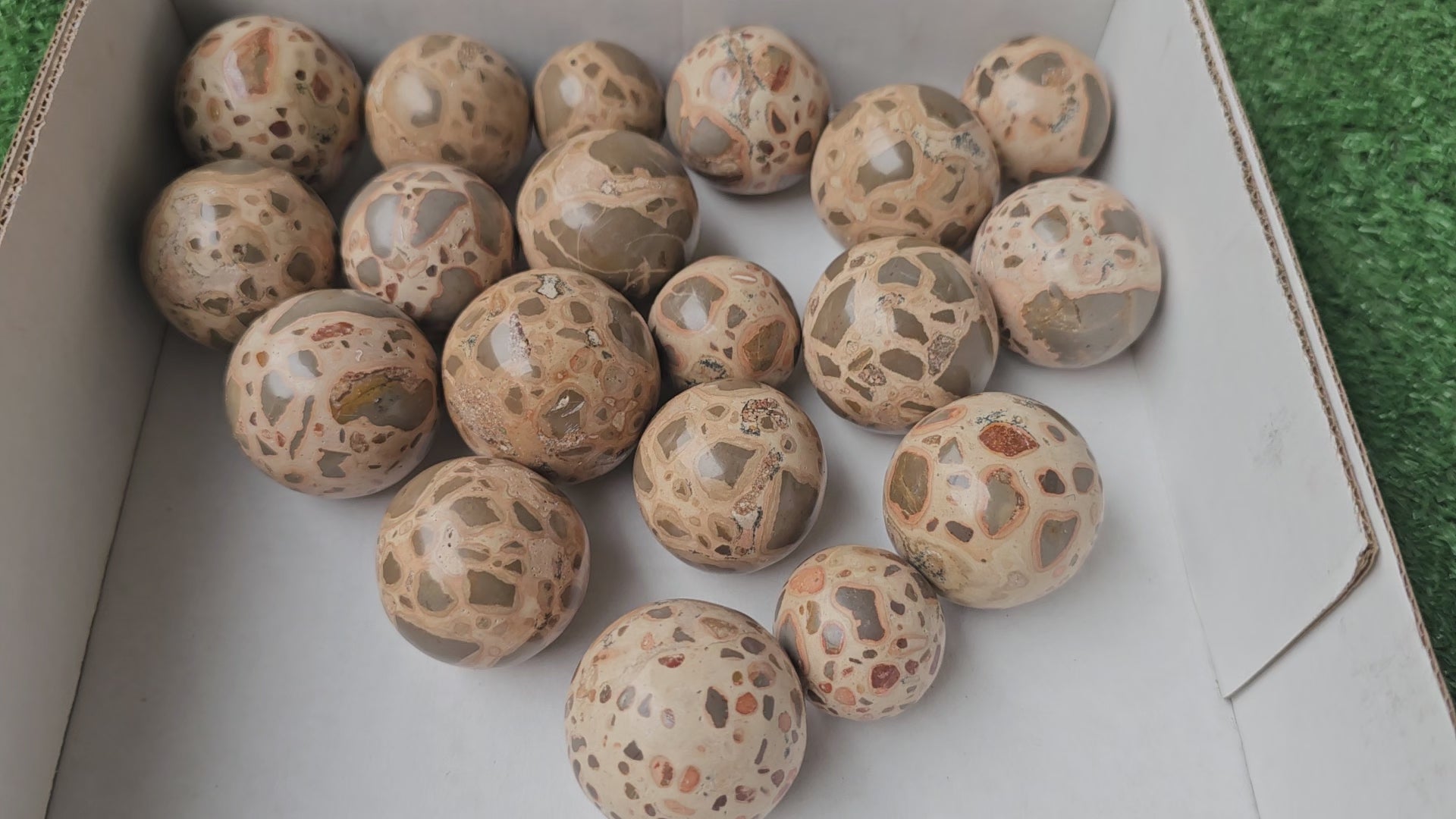 Load video: Lot 19 Leopardite Sphere