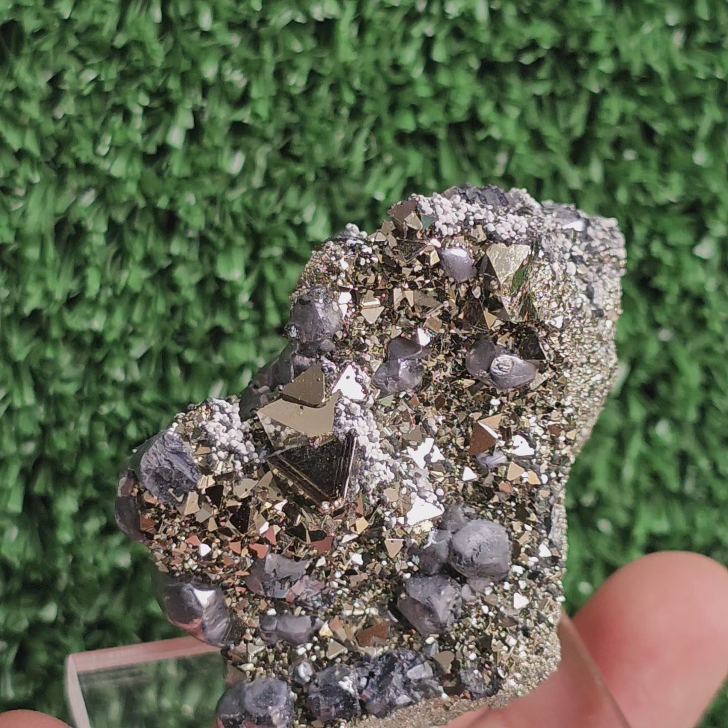 Load video: crystallized galena with Pyrite octahedral