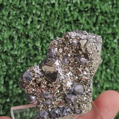 crystallized galena with Pyrite octahedral