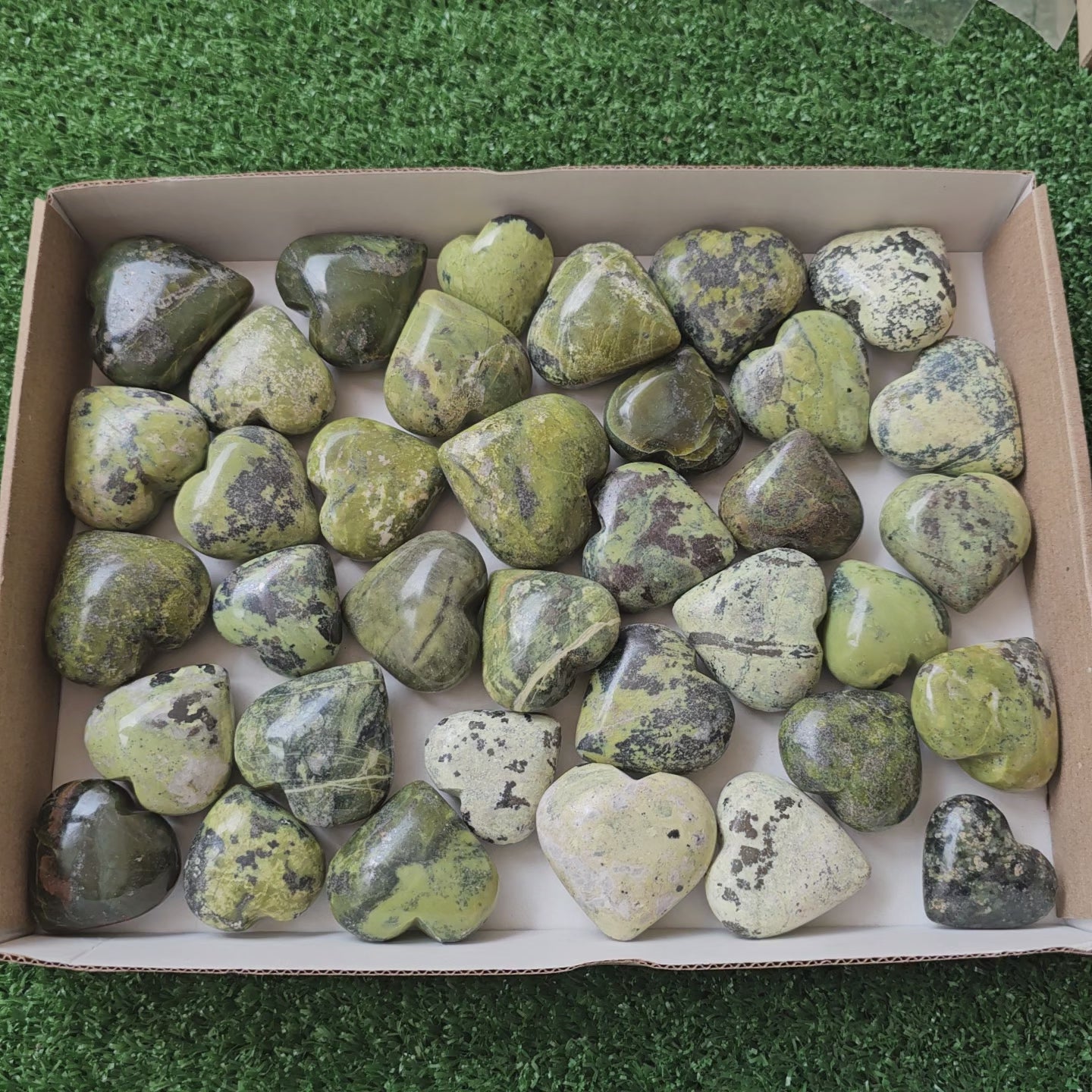 Load video: 36 pc green serpentine hearts