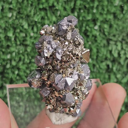 crystallized galena with Pyrite octahedral