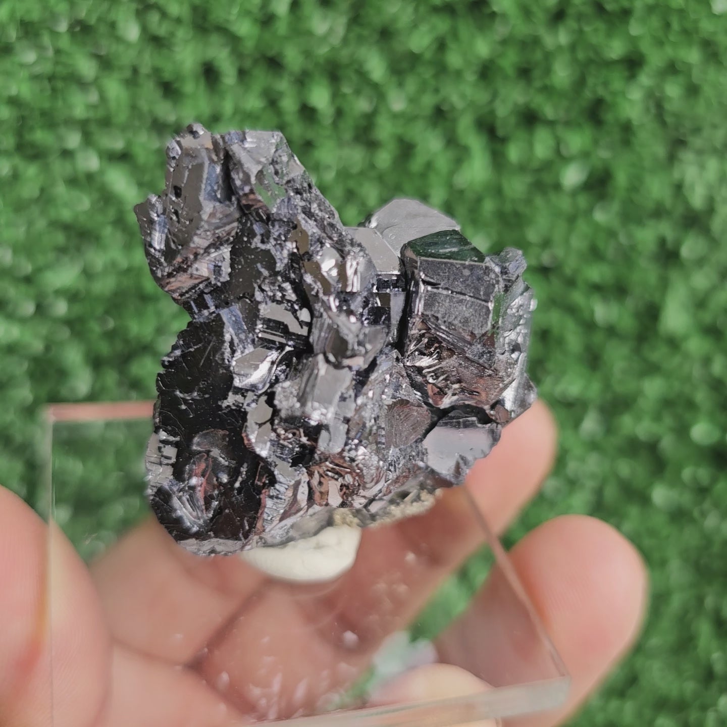 Load video: crystallized galena with Pyrite octahedral