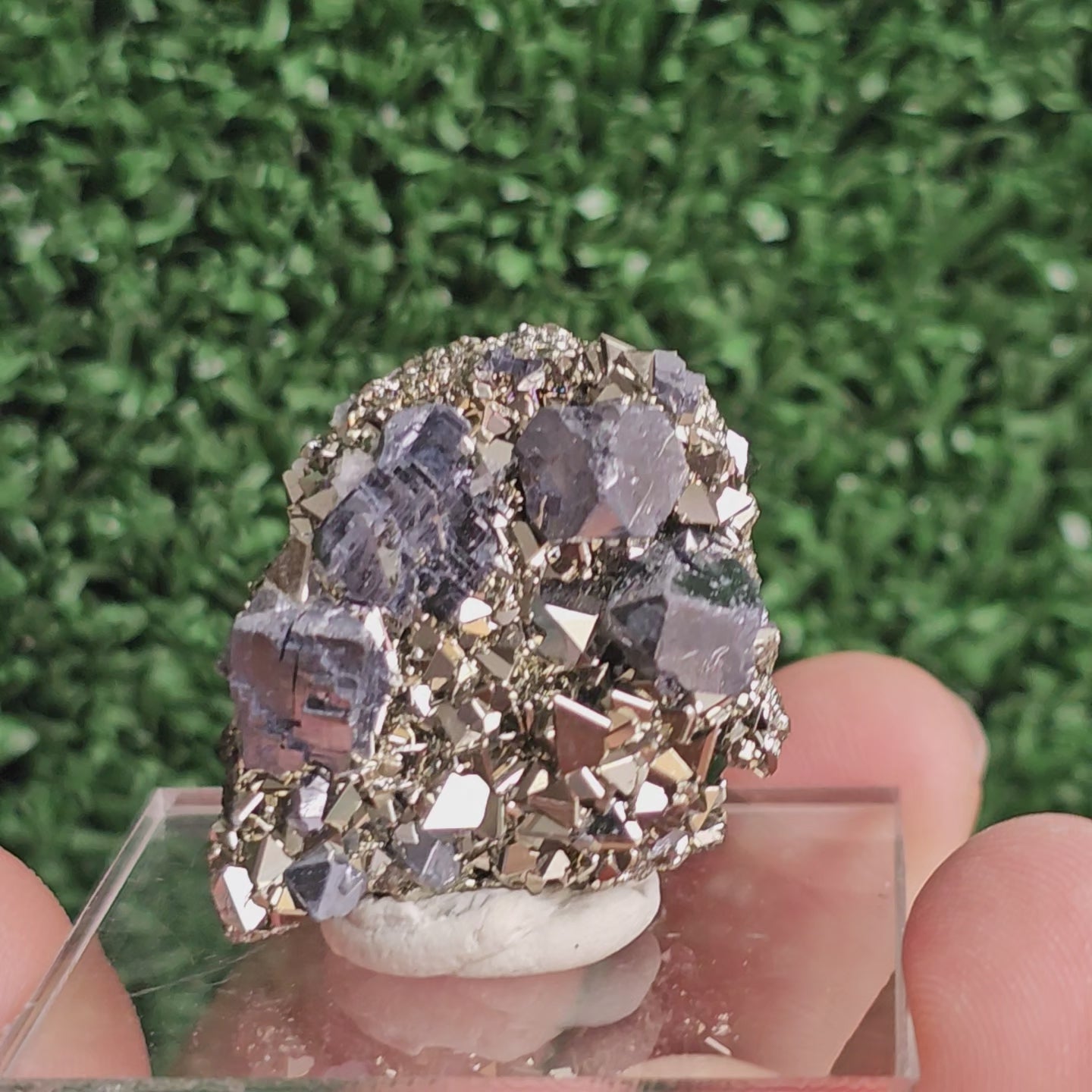 Load video: Galena with Pyrite octahedral