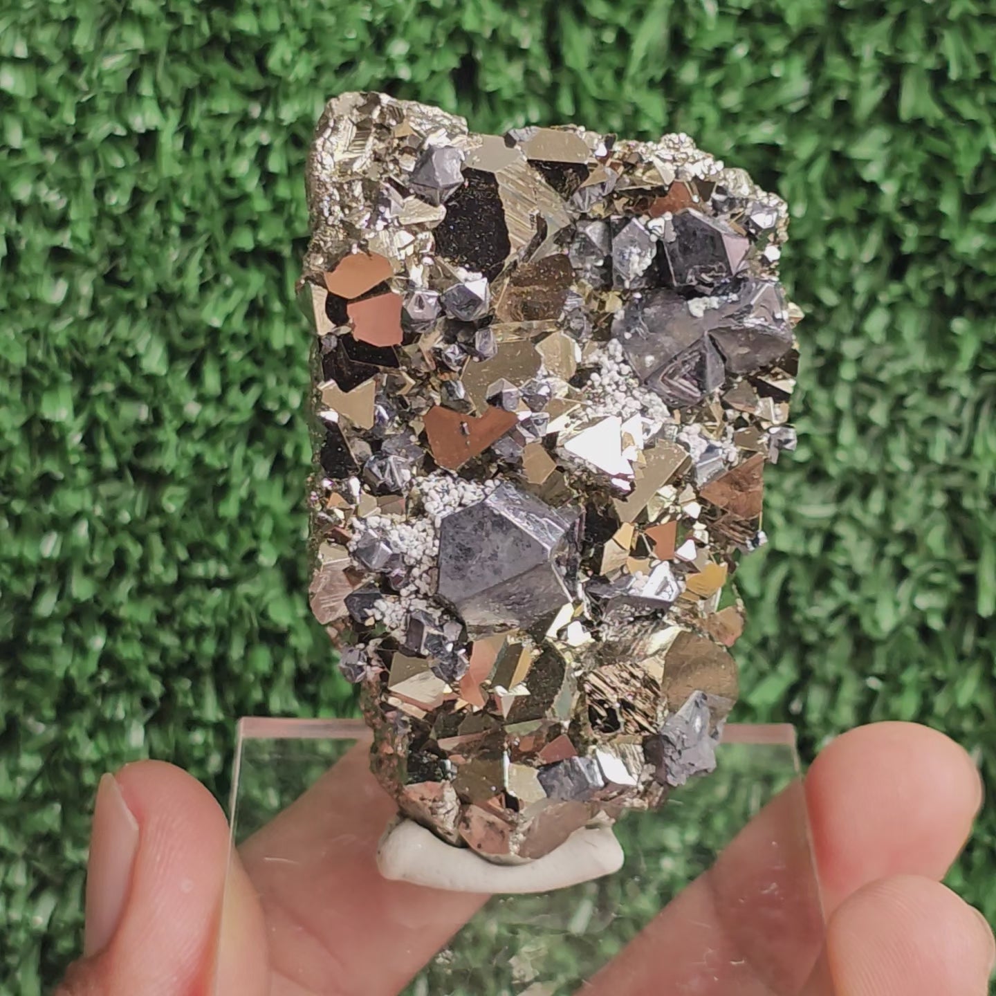 Load video: crystallized galena with Pyrite octahedral