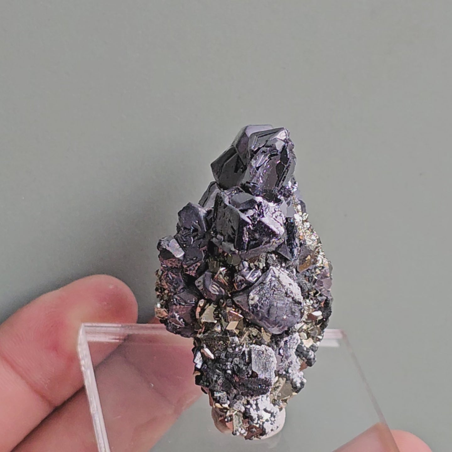 Load video: Galena with Pyrite octahedral