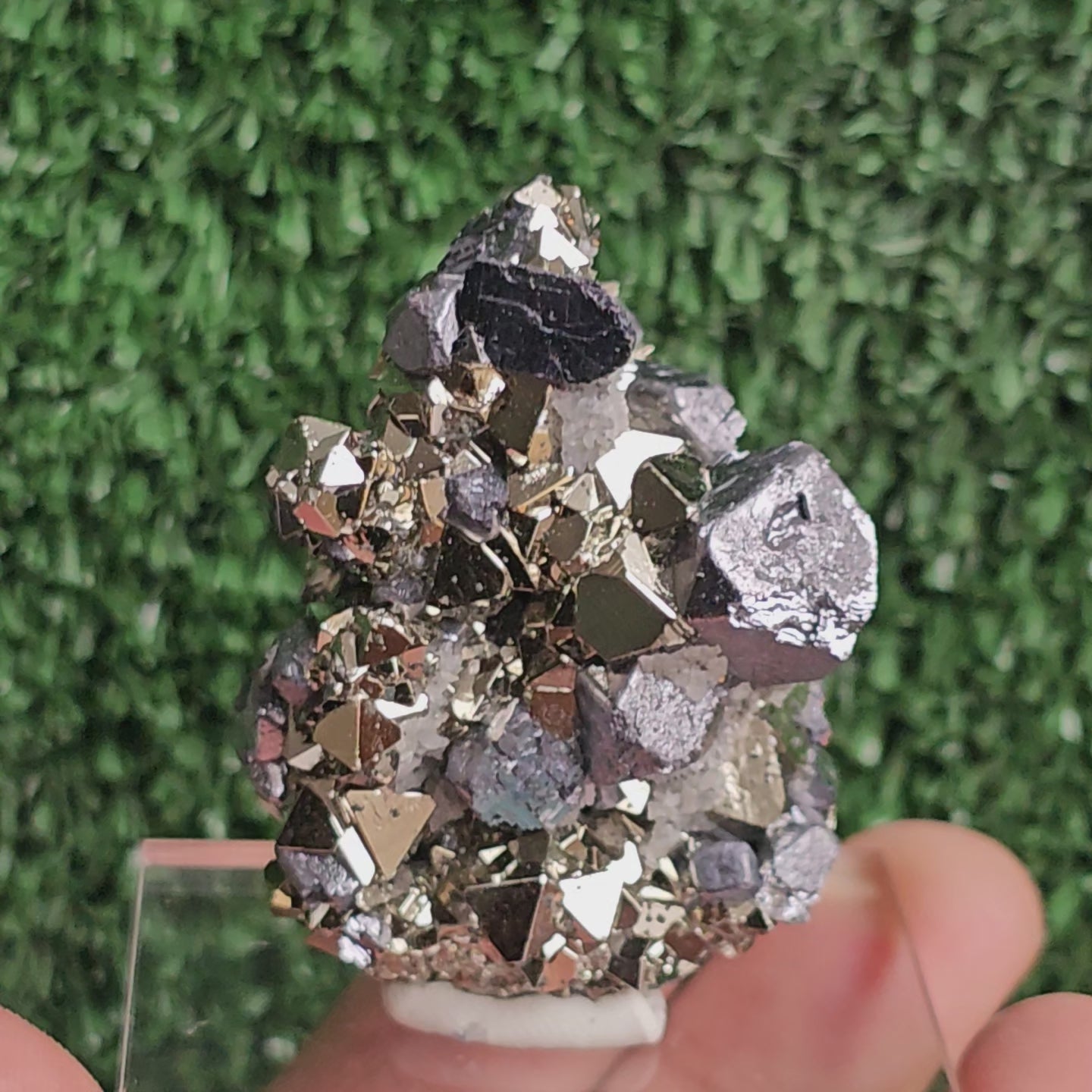 Load video: Galena with Pyrite octahedral