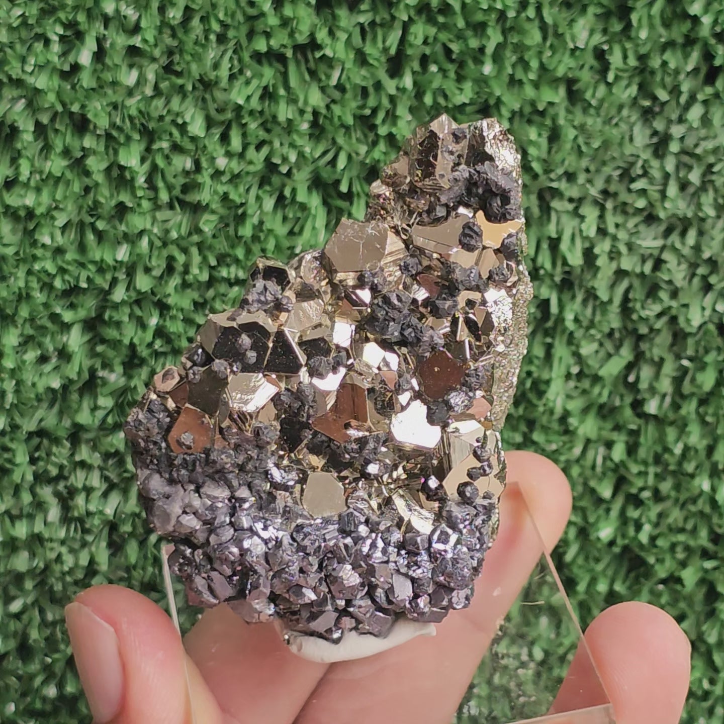 Load video: crystallized galena with Pyrite octahedral