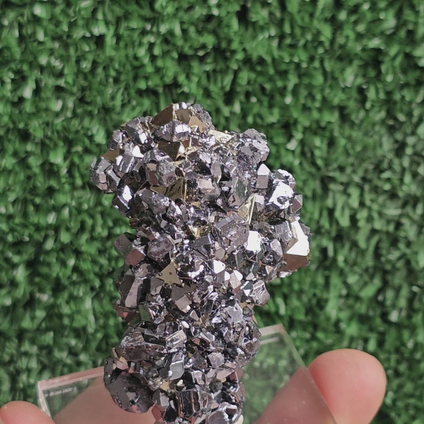 Load video: crystallized galena with Pyrite octahedral