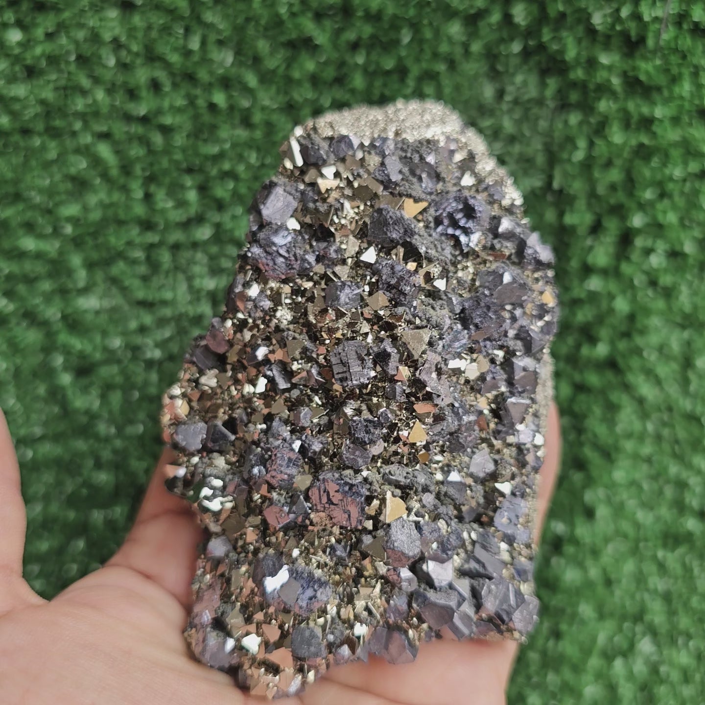 Load video: Galena Crystals on Octahedral Pyrite