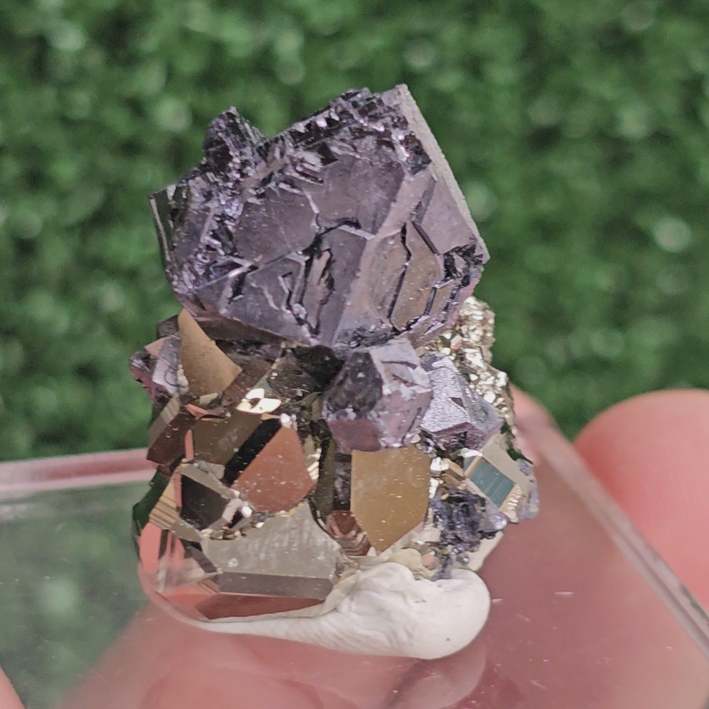 Load video: Galena with Pyrite octahedral