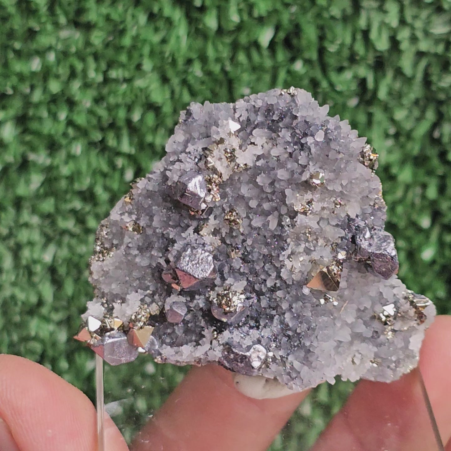 Load video: Galena with Pyrite octahedral