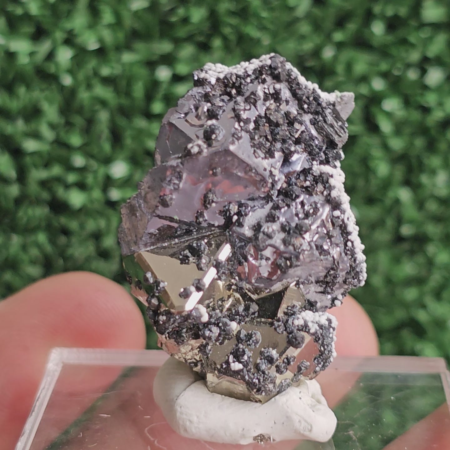 Load video: Galena with Pyrite octahedral