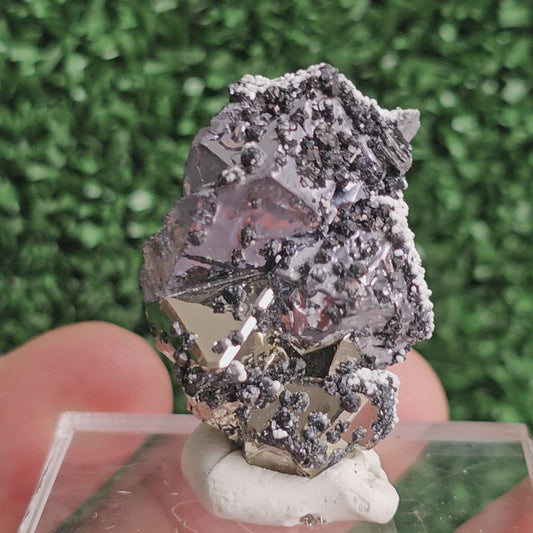 Galena with Pyrite octahedral