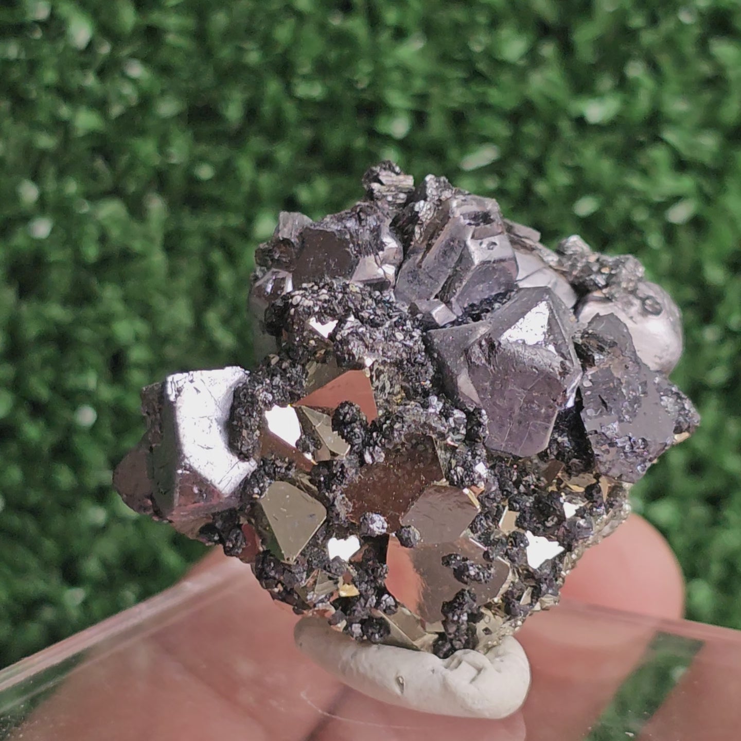 Load video: Galena with Pyrite octahedral