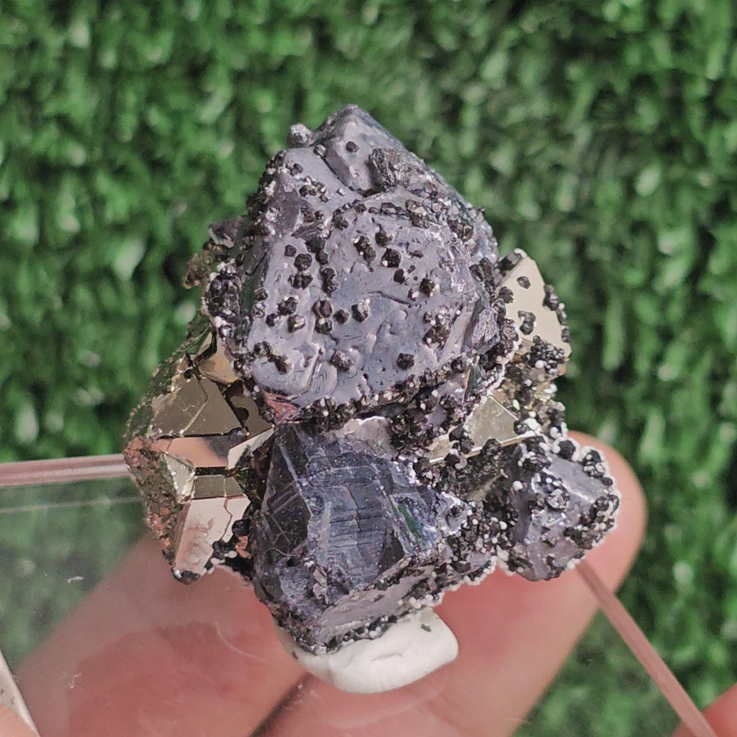Load video: Galena with Pyrite octahedral