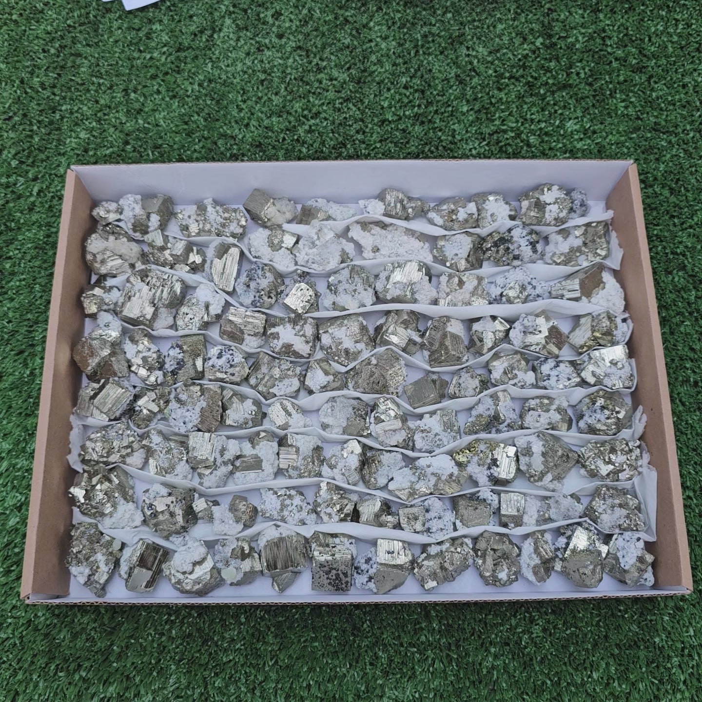 Load video: 84 pc Box Pyrite Cubic with calcite flourecent