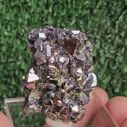 Galena with Pyrite octahedral