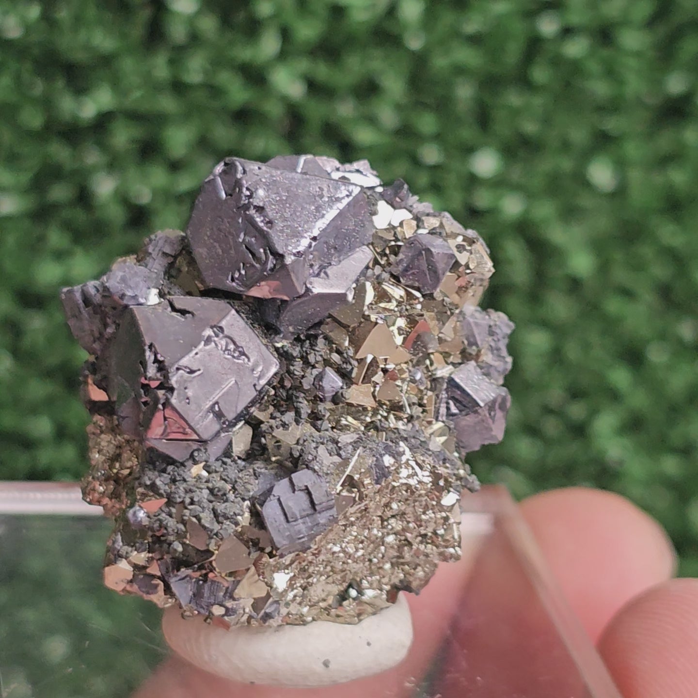 Load video: Galena with Pyrite octahedral