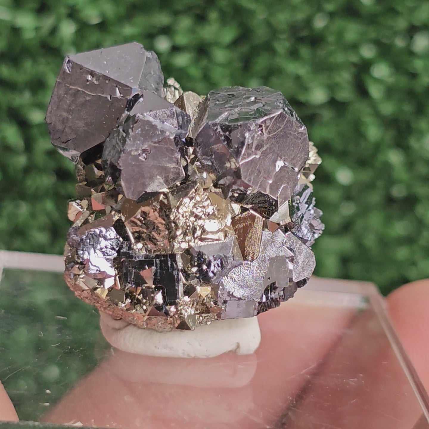 Load video: Galena with Pyrite octahedral