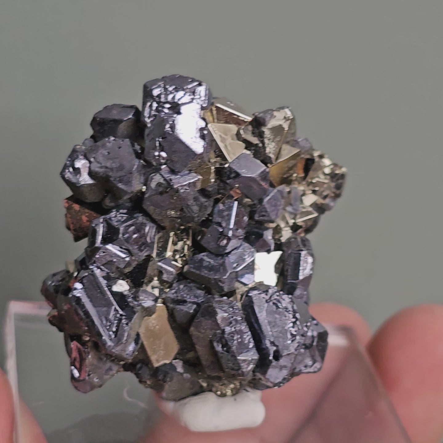 Load video: Galena with Pyrite octahedral