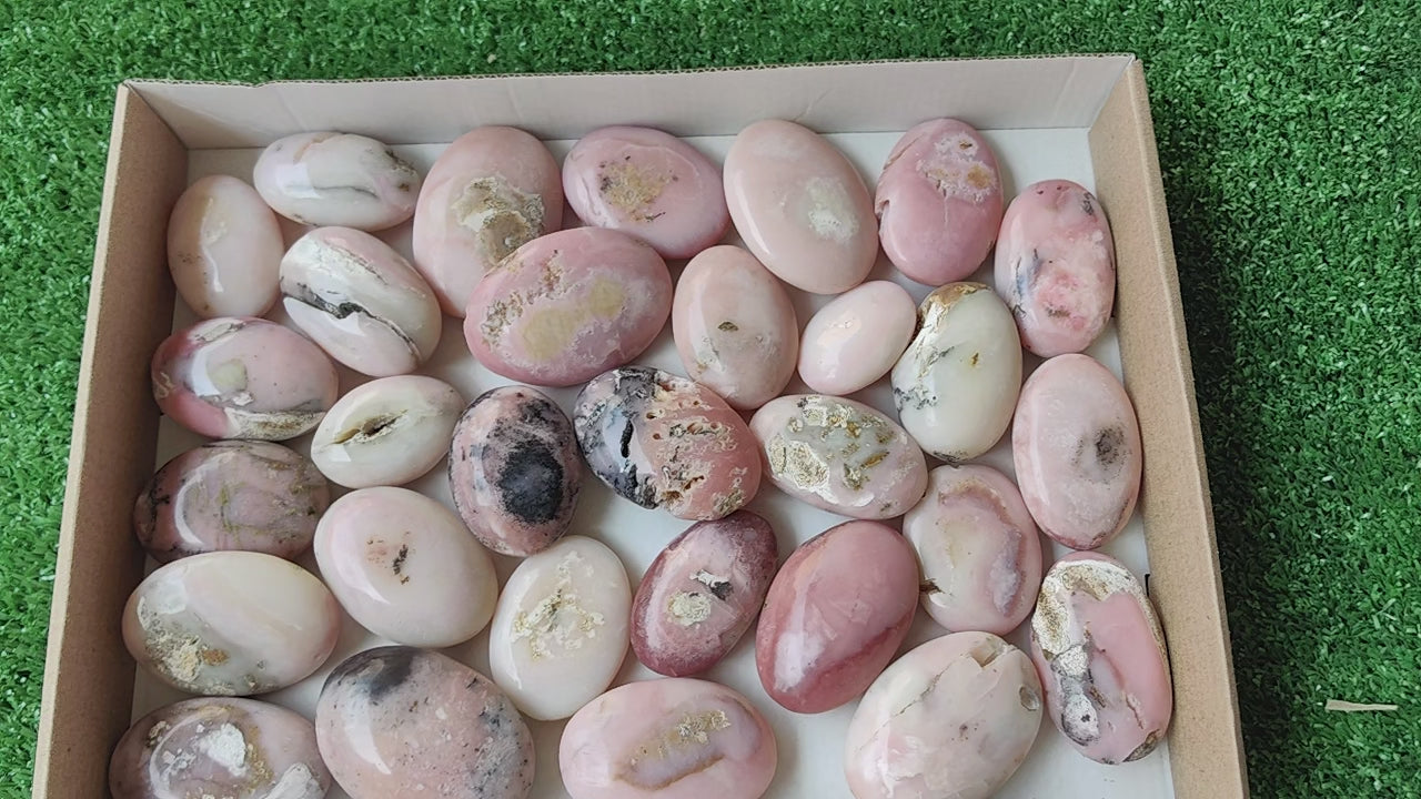 Load video: 30 pc pink opal palms