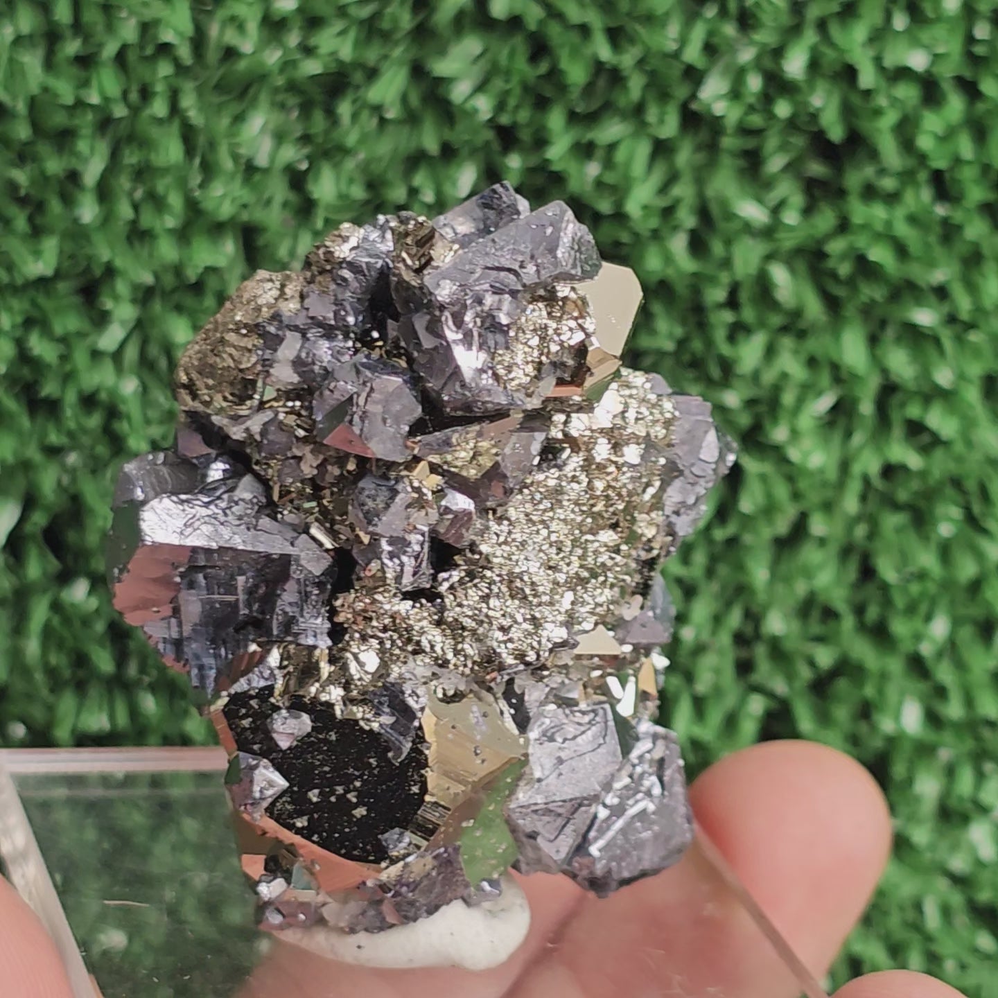 Load video: crystallized galena with Pyrite octahedral