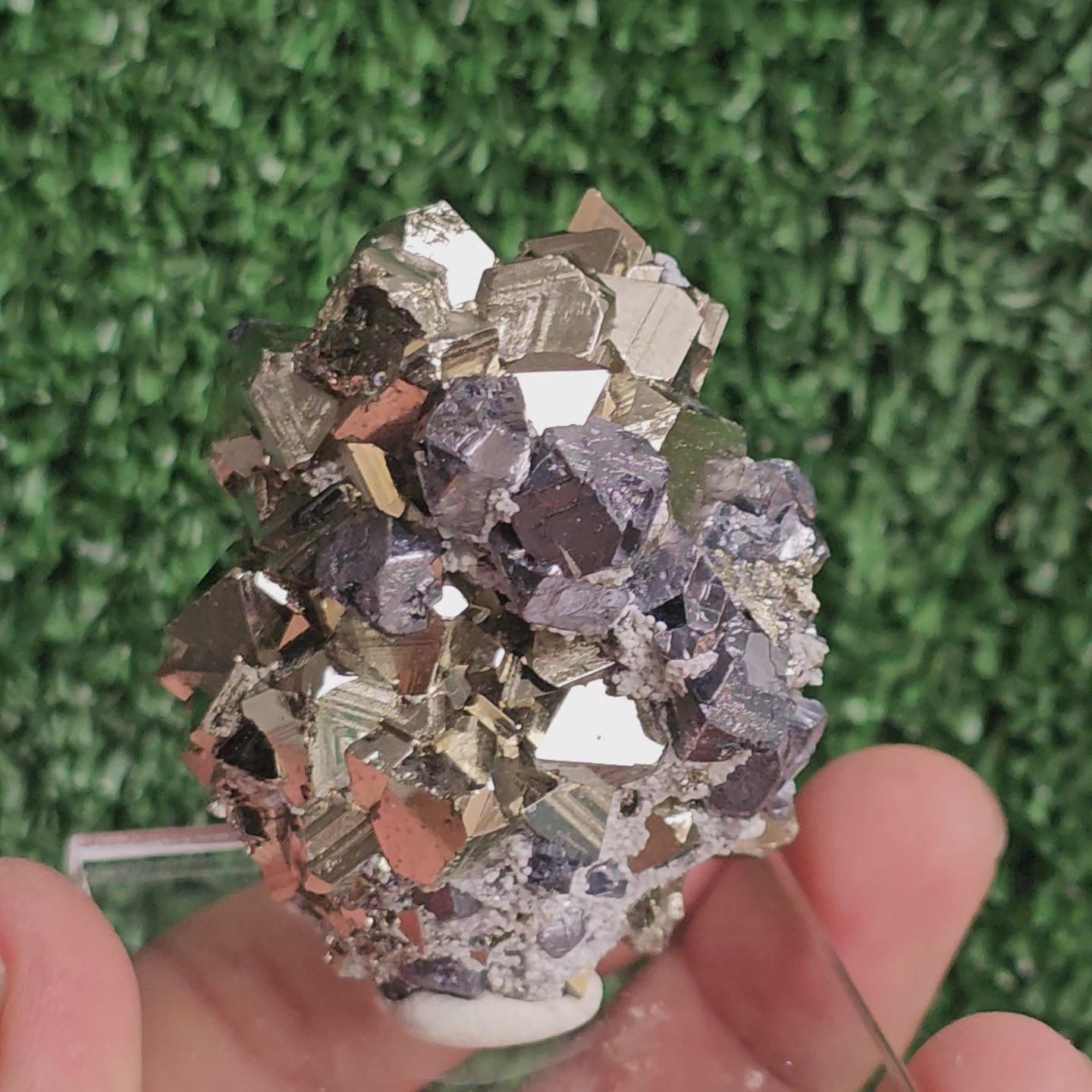 Load video: Galena with Pyrite octahedral