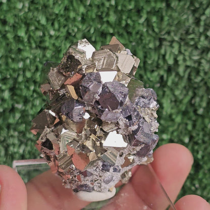 Galena with Pyrite octahedral