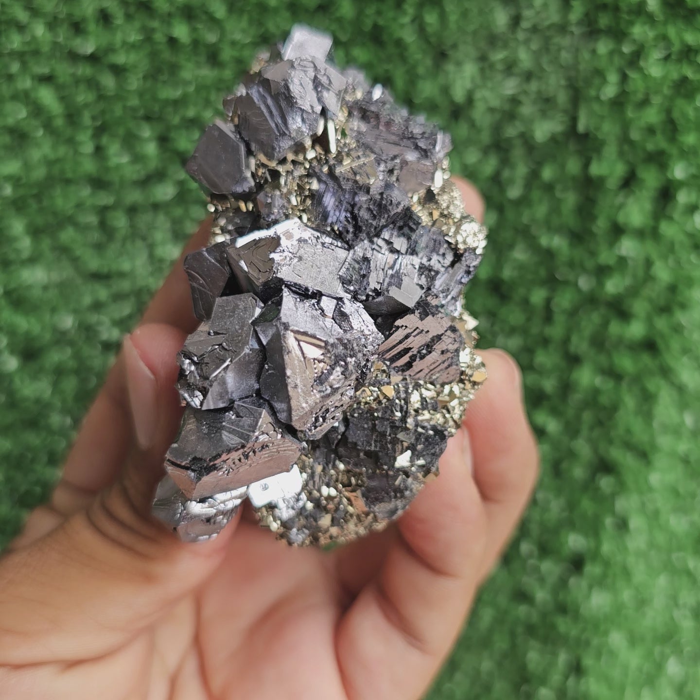 Load video: Galena Crystals on Octahedral Pyrite