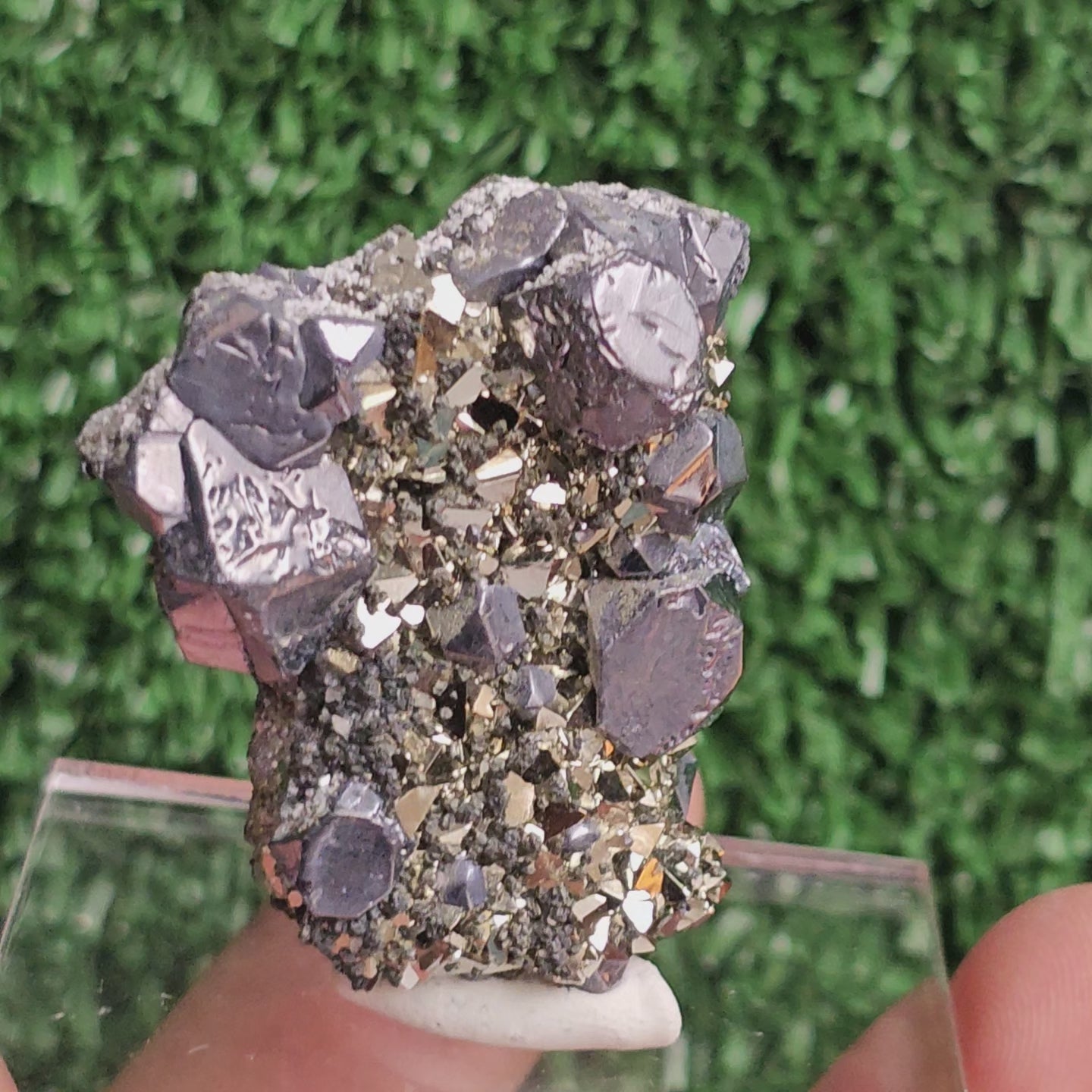 Load video: Galena with Pyrite octahedral