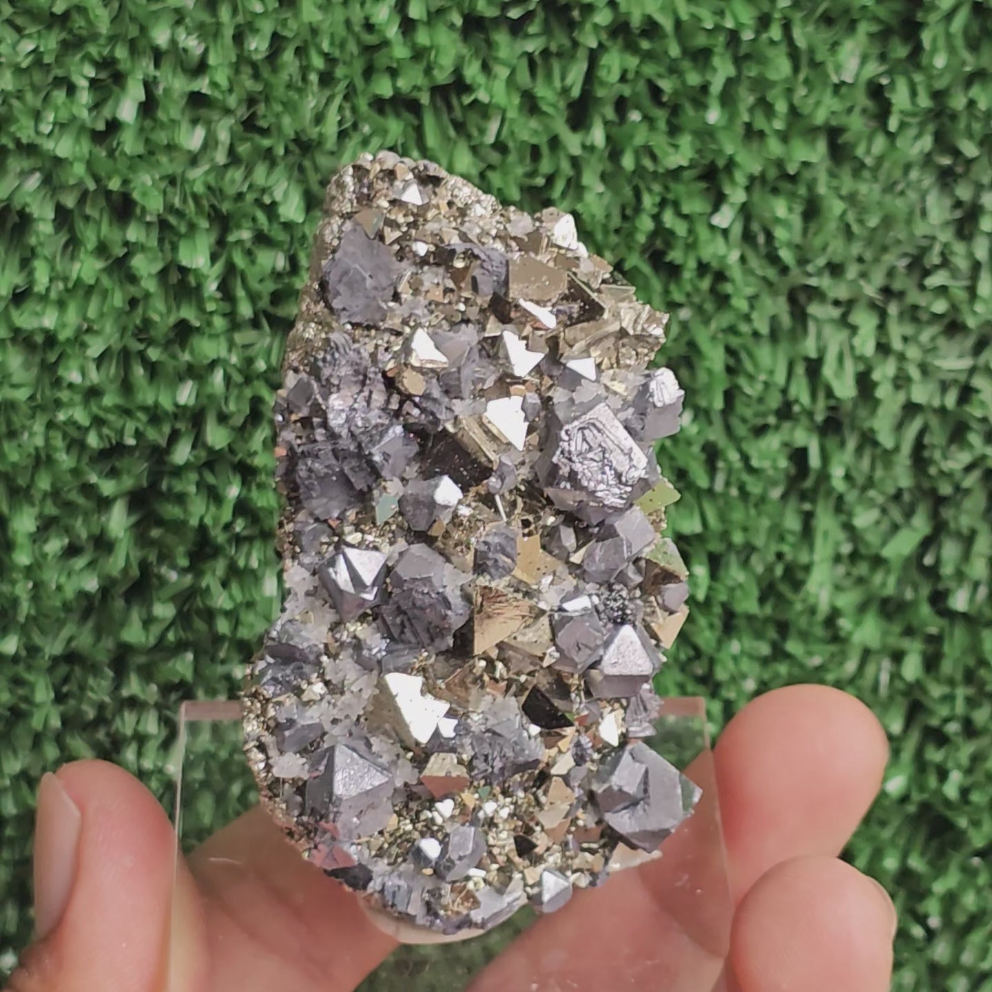 Load video: crystallized galena with Pyrite octahedral