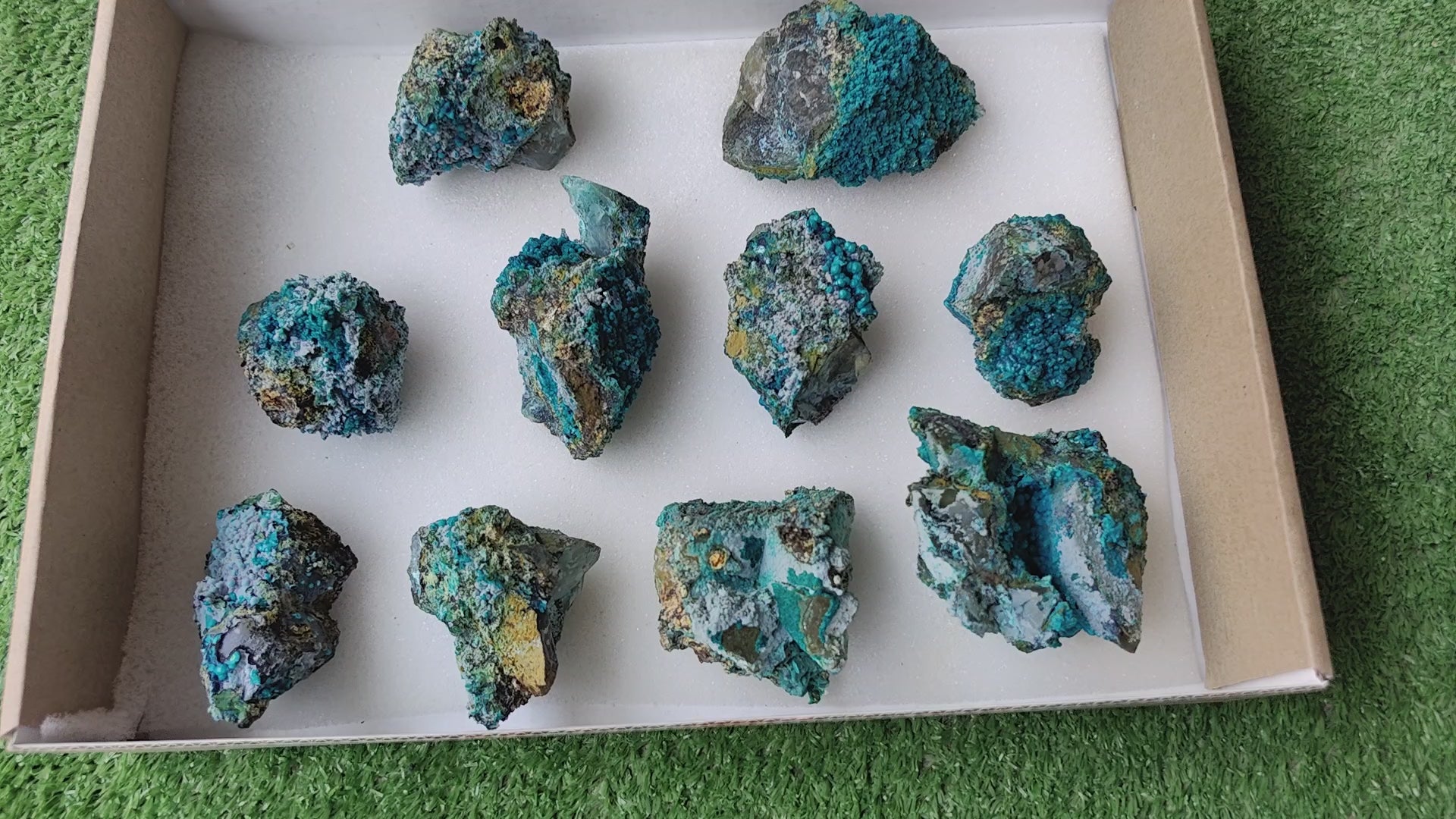 Load video: Lot 10 Chrysocolla on Quartz