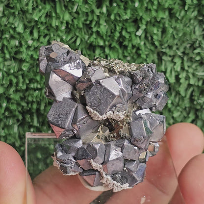 crystallized galena with Pyrite octahedral