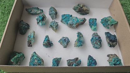 Lot 21 Chrysocolla on Quartz