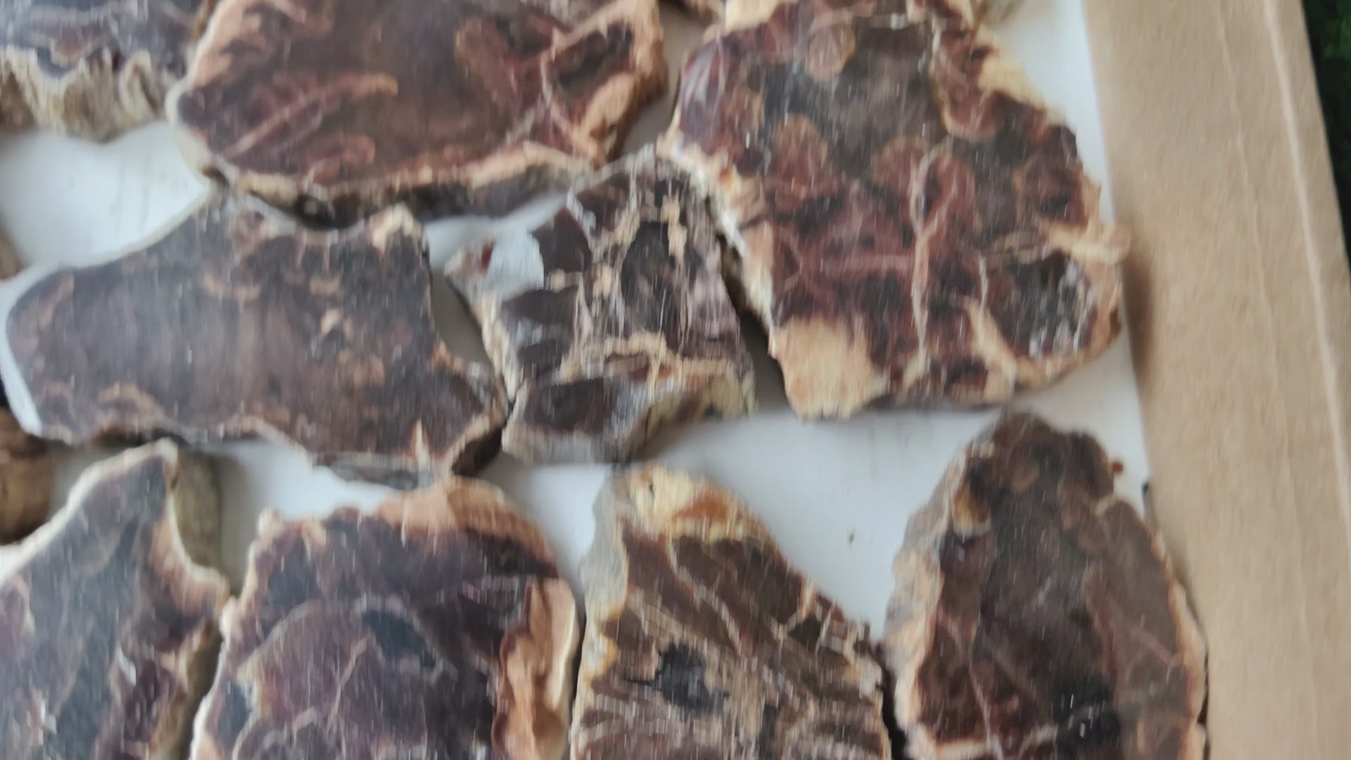 Load video: Lot 25 pcs Agatized Fossilized Wood Slices*