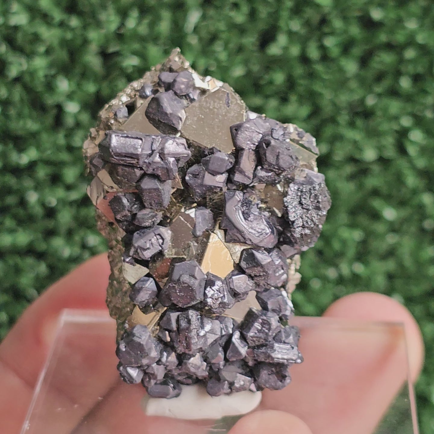 Load video: Galena with Pyrite octahedral