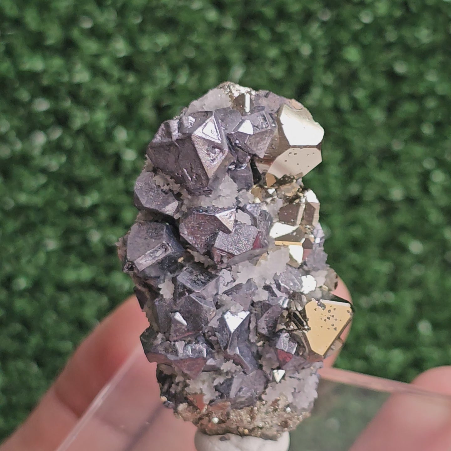 Load video: Galena with Pyrite octahedral