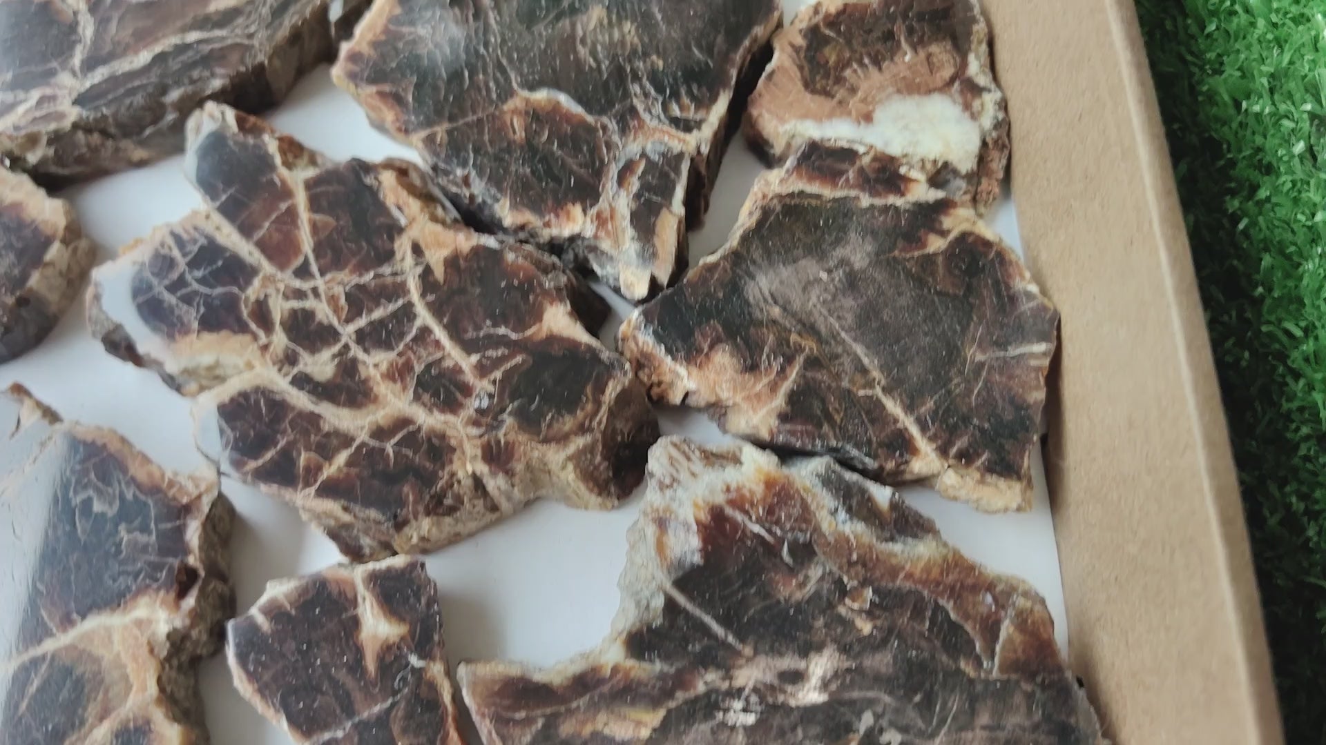 Load video: Lot 20 pcs Agatized Fossilized Wood Slices*