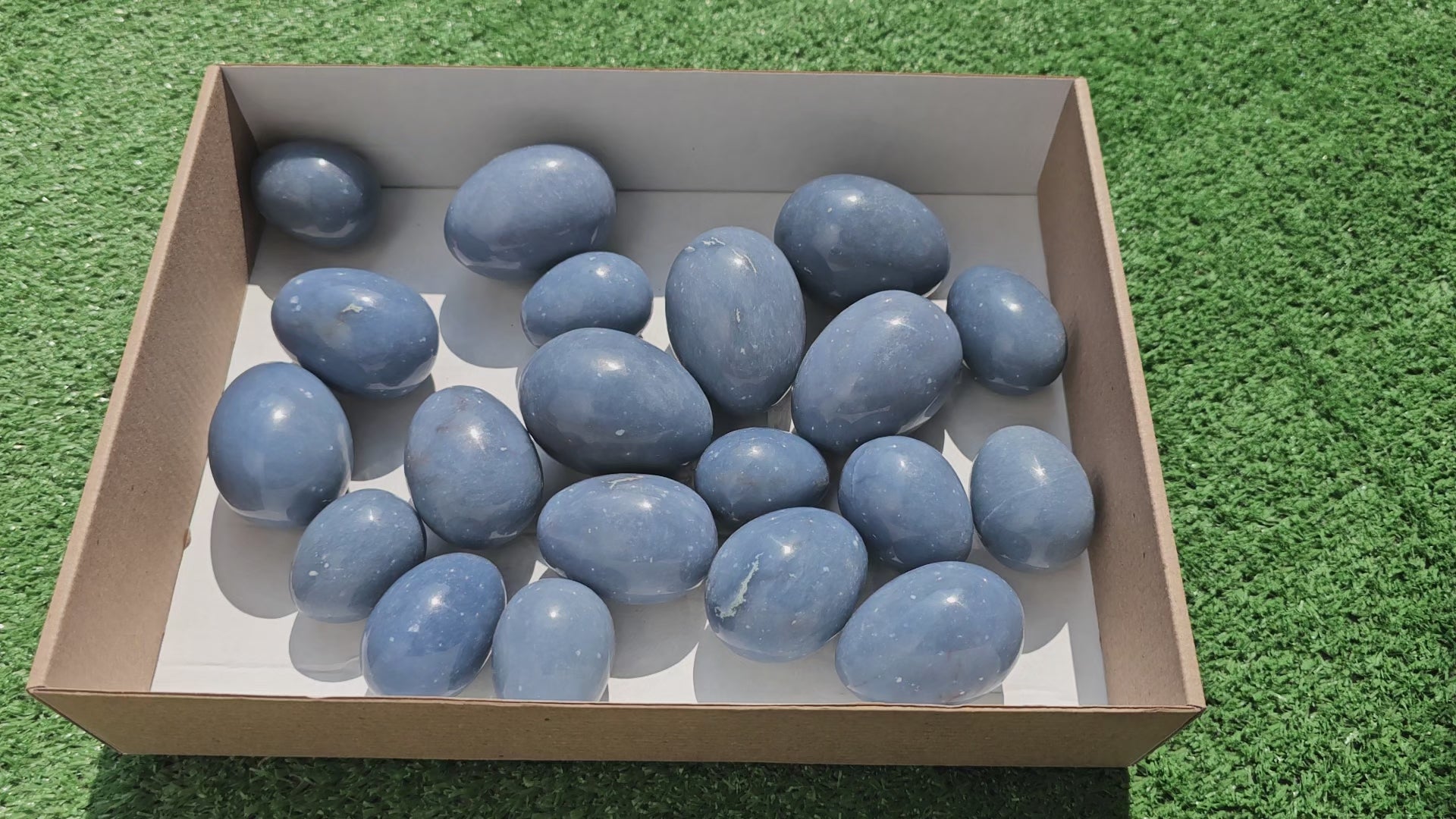 Load video: Lot 20 eggs Angelite**