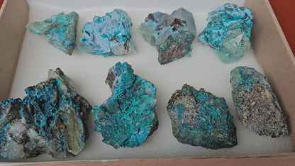 Lot 8 Chrysocolla Quartz Rough